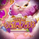 Cats of Olympuss 로고