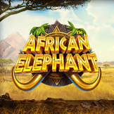 African Elephant 로고