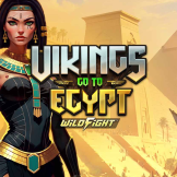 Vikings Go To Egypt Wild Fight 로고