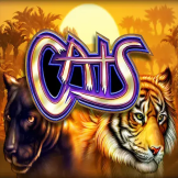 Cats 로고
