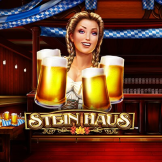 Stein Haus 로고
