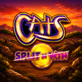 Cats Split n Win 로고