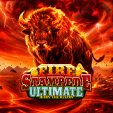 Fire Stampede Ultimate 로고
