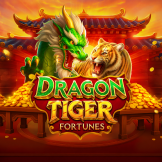 Dragon Tiger Fortunes 로고