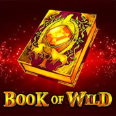Book of Wild 로고