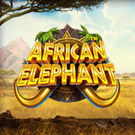 African Elephant 로고