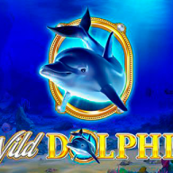 Wild Dolphin 로고