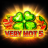 Very Hot 5 로고