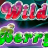 Wild Berry (3 reels) logo