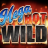 Mega Hot Wild 로고