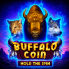 Buffalo Coin Hold The Spin 로고
