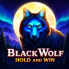 Black Wolf 로고