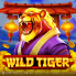 Wild Tiger ๋ก๊ณ