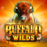 Buffalo Wilds 로고