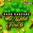 Cash Cascade - 40 Wild Fire 6 로고