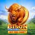 Bison Fortune Coins ๋ก๊ณ