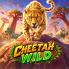 Cheetah Wild 로고