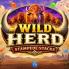 Wild Herd Stampede Stacks 로고