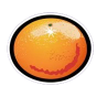 Orange 이미지