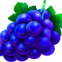 Grape 이미지