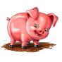 Pig 이미지