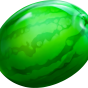 Watermelon 이미지