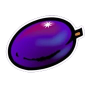 Plum 이미지