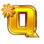 Q 이미지