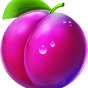 Plum 이미지
