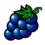 Grape 이미지