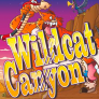 Wild Cat Canyon 로고