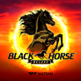 Black Horse Deluxe 로고