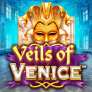 Veils Of Venice 로고
