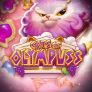 Cats of Olympuss 로고