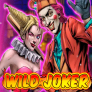 Wild Joker 로고