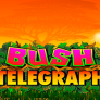 Bush Telegraph 로고