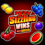 777 Sizzling Wins 5 Lines 로고