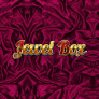 Jewel Box 로고