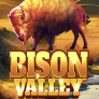 Bison Valley 로고