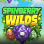 Spinberry Wilds 로고