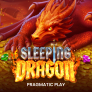 Sleeping Dragon 로고