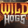 Wild Hogs 로고