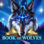 Book Of Wolves 로고