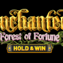 Enchanted: Forest of Fortune 로고