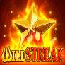 Wild Streak 로고