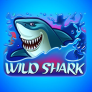 Wild Shark 로고