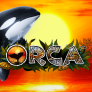 Orca 로고