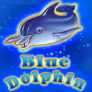 Blue Dolphin 로고