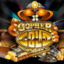 Gopher Gold 로고