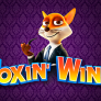 Foxin Wins 로고